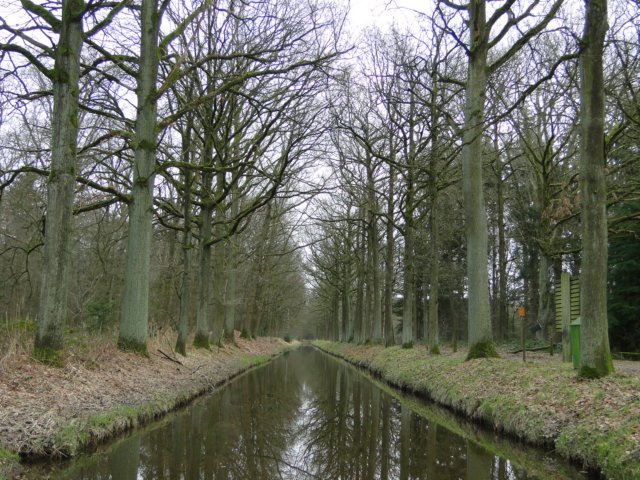 NWK 2012 036.jpg